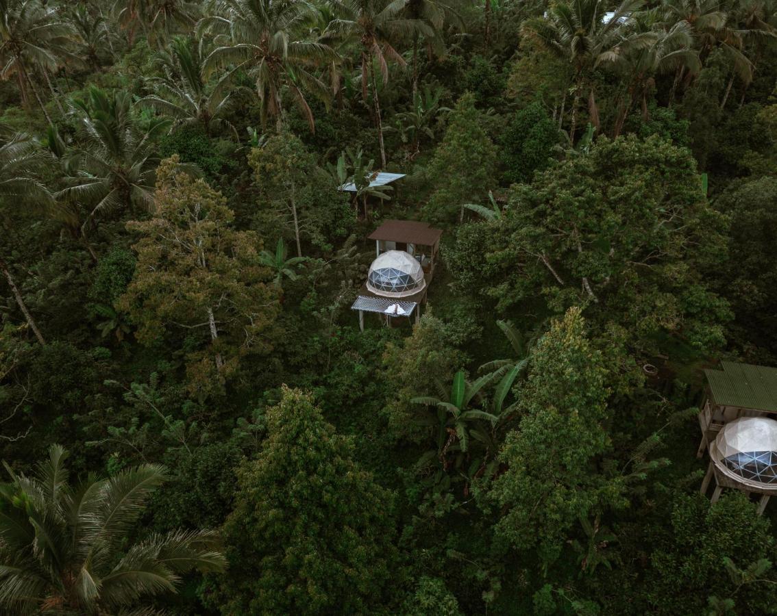 Bali Jungle Camping Selemadeg Exterior foto