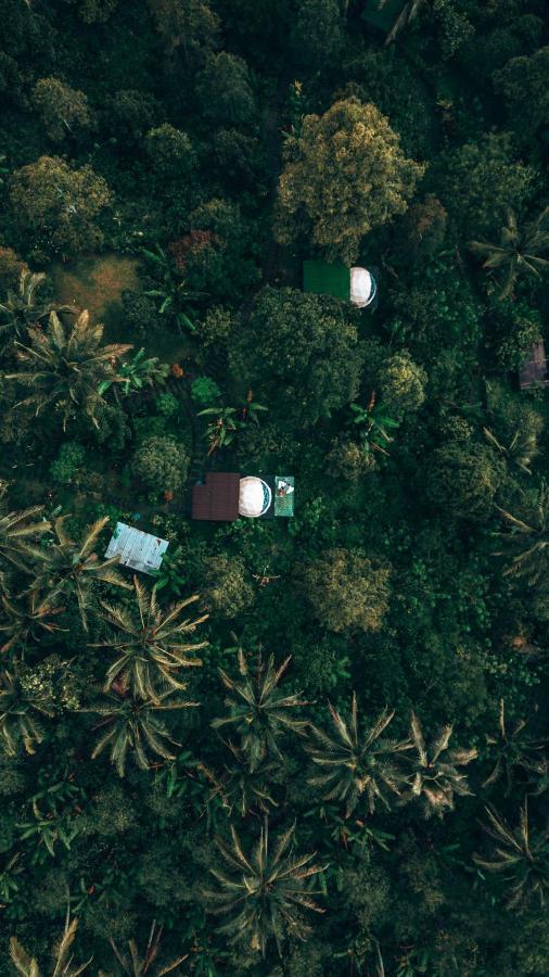 Bali Jungle Camping Selemadeg Exterior foto