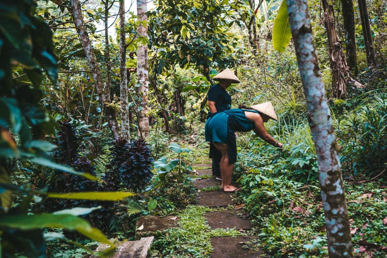 Bali Jungle Camping Selemadeg Exterior foto